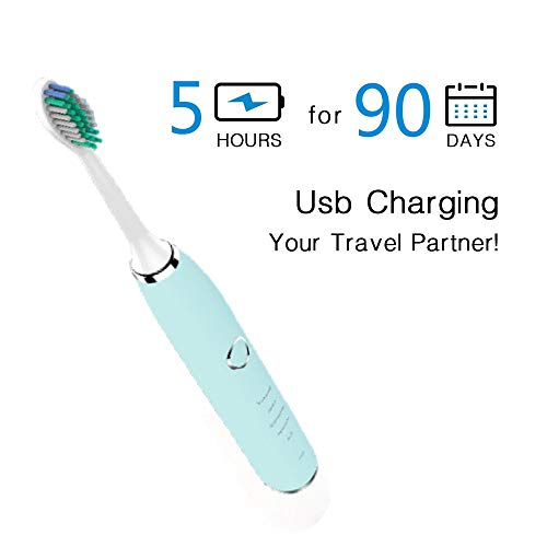 WİSSBLUE Elektrikli Diş Fırçası - Akıllı Zamanlayıcı ile USB Şarj Edilebilir akıllı sonik diş fırçası seyahat Seti bakımı-Derin