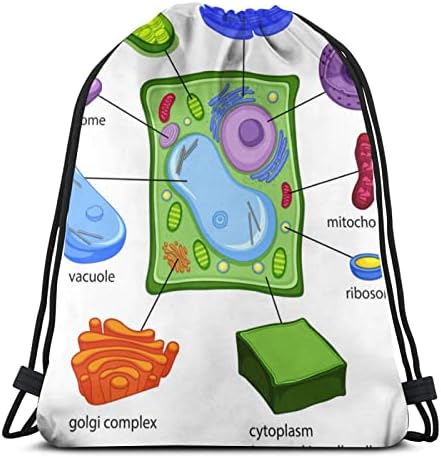 Grafik Gösteren Bitki Hücre Bileşenleri Karikatür Tarzı Bilim Yaşam Yapısı İpli sırt çantası Spor Spor Çantaları Su Geçirmez