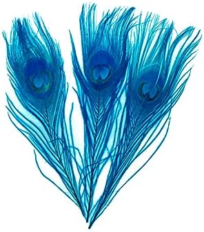 50 Parça-30-35 Turkuaz Mavi Ağartılmış & Boyalı Tavuskuşu Kuyruk Göz Toptan Tüyler (Toplu) Cadılar Bayramı Kostüm Craft Kaynağı