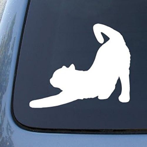 CMI561 Kedi Germe / Kitty / Yavru | Kalıp Kesim Vinil Araba çıkartması Sticker için Araba Pencere Tampon Kamyon Dizüstü İpad