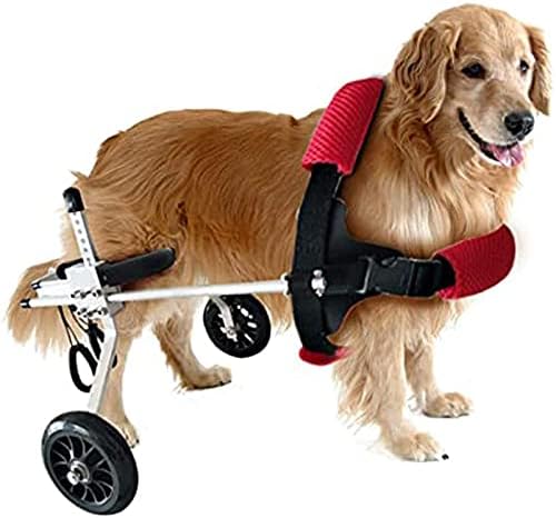 SXFYGYQ Köpek Tekerlekli Sandalye için Küçük Köpek Ayarlanabilir Köpek Tekerlekli Sandalye için Arka Bacaklar Rehabilitasyon