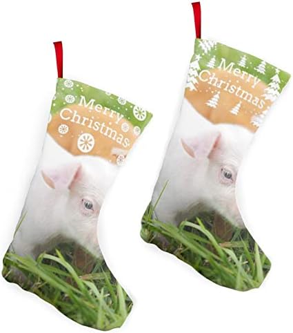 GLRTORE Temiz Hayvanlar Noel Çorap 2 Paket 10 İnç,noel Çorap Noel Ağacı Şömine Asılı Çorap Noel Şeker Mevcut Çanta için Aile