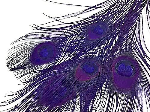 5 Parça-Patlıcan Ağartılmış ve Boyalı Tavuskuşu Kuyruk Göz Tüyleri 10-12 Uzun Cadılar Bayramı Zanaat Kaynağı / Mehtap Tüyü