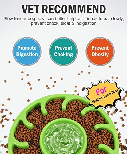 KASBAH Yavaş Besleyici Köpek Kase, Anti-Gulping köpek maması kasesi su kasesi Interaktif Bloat Stop Orta / Büyük Köpekler için