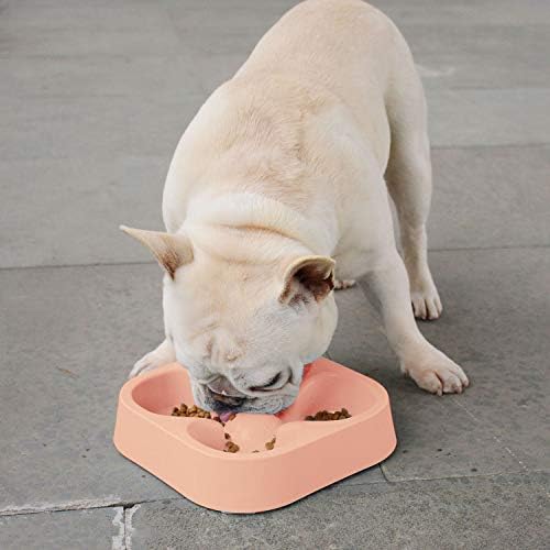 Fransız Bulldog için Hifrenchies Sağlıklı Yavaş Besleme Köpek Kase-Yavaş Besleyici Köpek Kase Eğlenceli Besleyici Dört Yapraklı