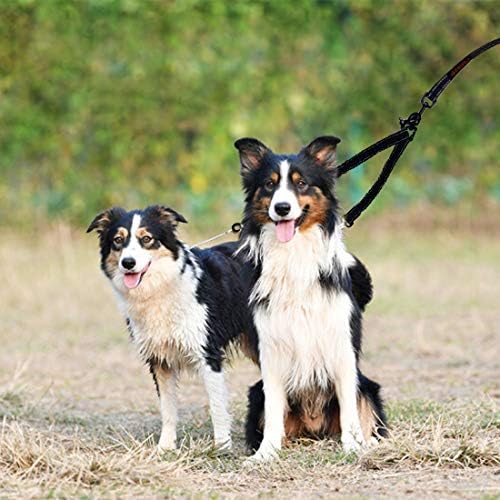 Çift Köpek Tasma, Çift Köpek Tasma,360°Döner Hiçbir Arapsaçı Çift Köpek Yürüyüş ve Eğitim Tasma, rahat Şok Emici Yansıtıcı Bungee