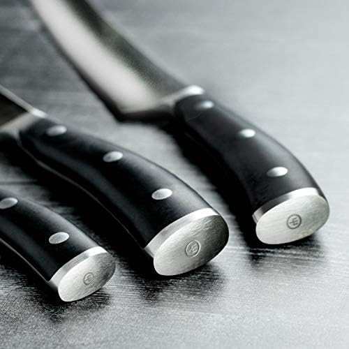 Akasya Bloklu Wusthof Klasik İkon 10 Parça Bıçak Seti