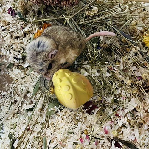 Hamiledyi Hamster Diş Taşlama Lava Blok Kalsiyum Taş Çiğnemek Oyuncaklar Kürkü Tavşanlar Gerbil Kobay Suriye Hamster Sincap Gelincik