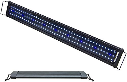 BeamsWork LED 1 W Hİ Lümen akvaryum ışık Deniz FOWLR Çiklit