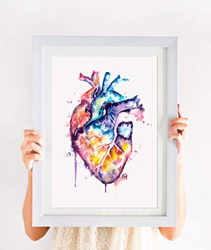 Whitehouse tarafından kalp Duvar Sanatı Sanat / Anatomik Kalp Suluboya Resim, Anatomi Sanat, Doktor Hediye, Kardiyovasküler Yapıt,