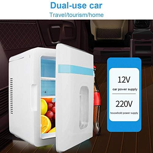 RUNHUAYOU 10L Mini buzdolabı soğutucu ısıtma yiyecek ve içecek soğutucu taşınabilir termoelektrik soğutucu 12 V-220 V için cilt