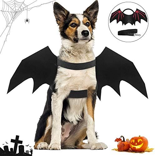 Devis Cadılar Bayramı Kostümleri Köpekler için, Siyah Yarasa Kanatları Pet Giyim, Köpek Yarasa Kanatları Kostüm, Köpek Cadılar